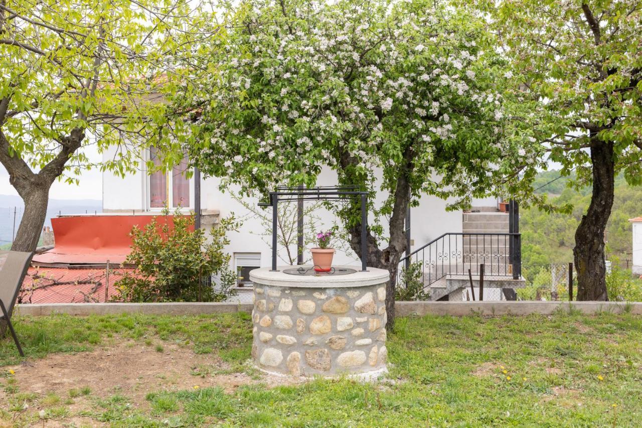 Archontiko Fotini - Traditional Guesthouse Meteora كالامباكا المظهر الخارجي الصورة